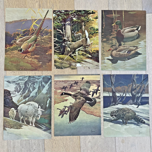 1944 outdoor life prints - 1944, x6